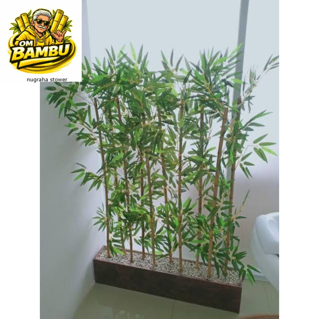 Bibit Bambu Jepang Hias Mini Tanaman Bambu Jepang Siap Tanam