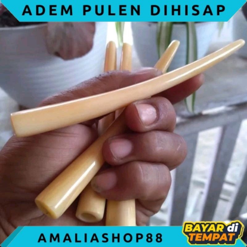 ONCE PIPA TULANG UNTA RASA ADEM PULEN