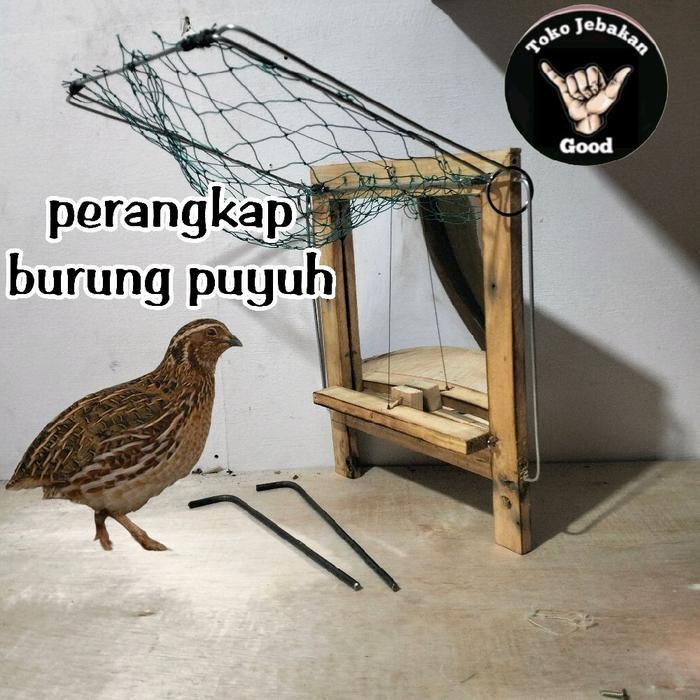 [KIMIKU 99] sangkar jebakan burung puyuh - pakai kaca