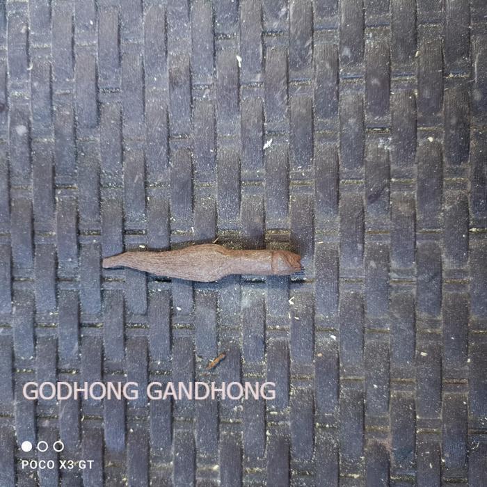 pusaka sepuh banyak angrem pamor singkir KJM1122 LSP6