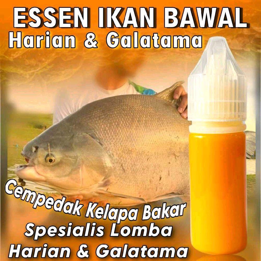 Bandung Mancing - 0Essen Ikan Bawal Harian KiloGebrus paling Ampuh Dan Gacor 15ml, Essen Ikan Bawal 