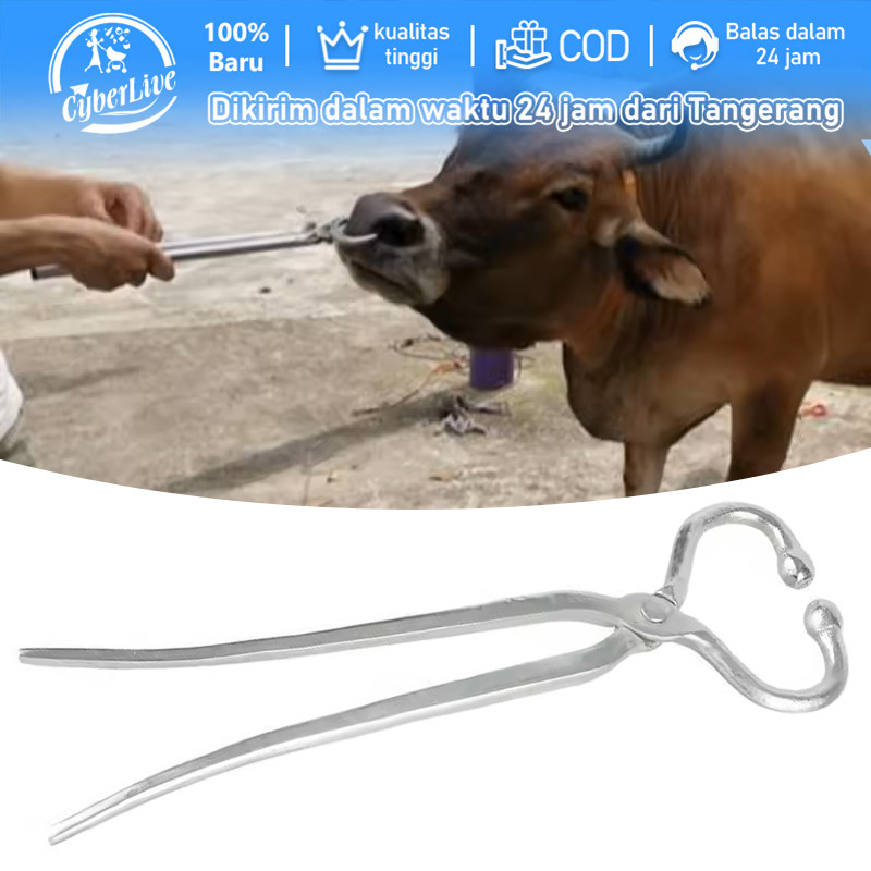Cattle Nose Plier Alat Tindik Pelubang Hidung Sapi Penjepit Hidung Sapi Nose Ring Pliers