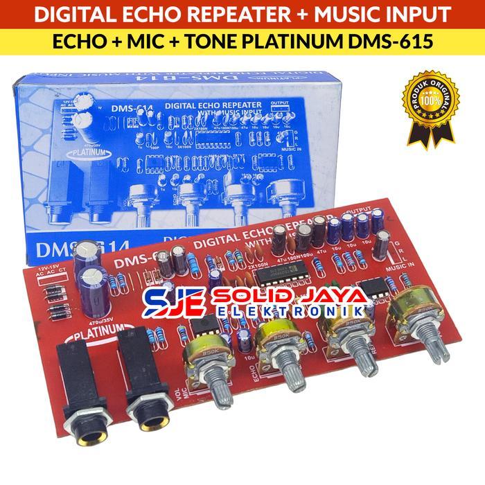 KIT DIGITAL ECHO REPEATER PLUS MUSIK INPUT DMS-614 DMS614 PLATINUM