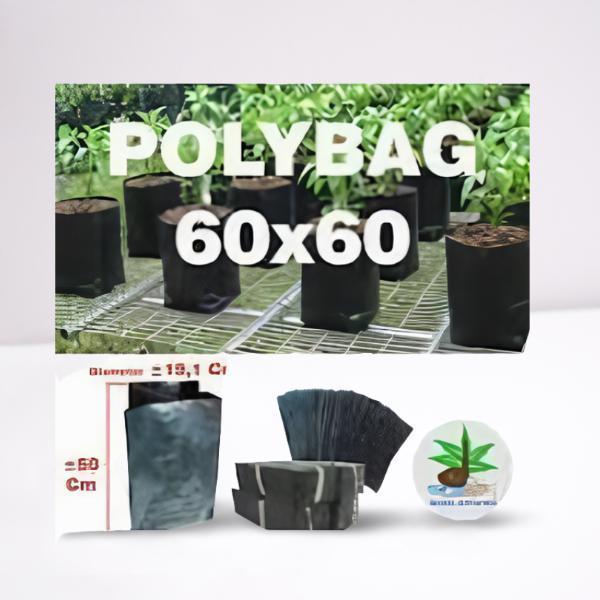 Polybag Jumbo 60x60cm 1kg Tebal