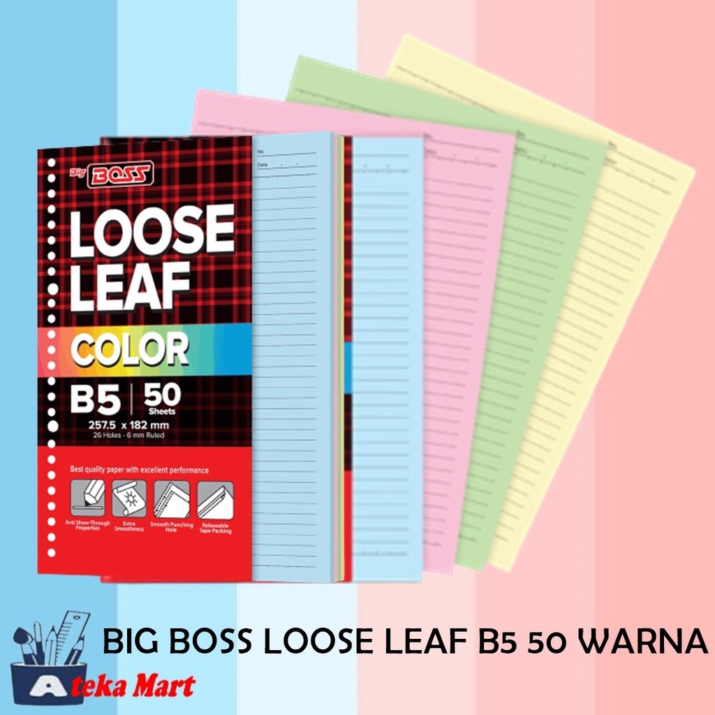 BIG BOSS LOOSE LEAF B5 50 WARNA
