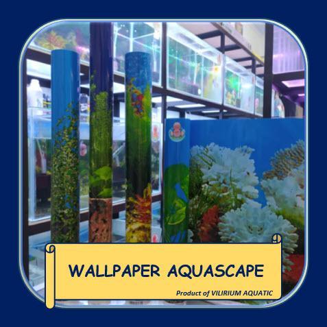 CelloCare PERLENGKAPAN AQUARIUM - WALLPAPER AQUARIUM POLOS - BERGAMBAR / BACKGROUND AQUARIUM POLOS -
