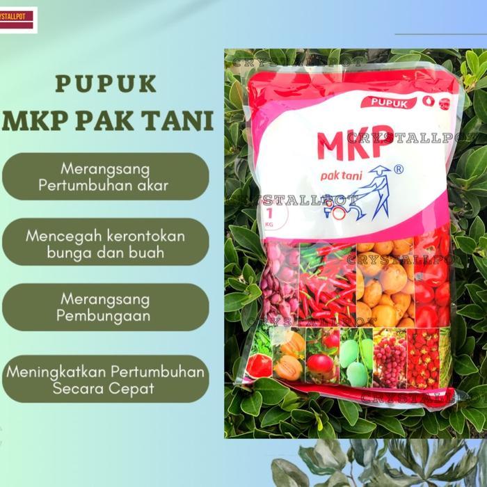 KlikRumah pupuk MKP(mono kalium posphate)mencegah kerontokan&mempercepat pembuah