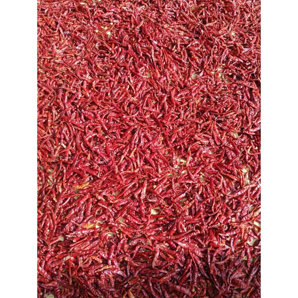 Cabe Kering 200gr - Super Pedas, Kering, dan Hemat untuk Usaha Makanan