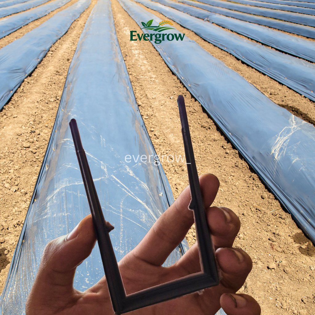 Pasak Mulsa Modern 1 Kg ±250 Biji – Tusuk Mulsa Plastik Tebal