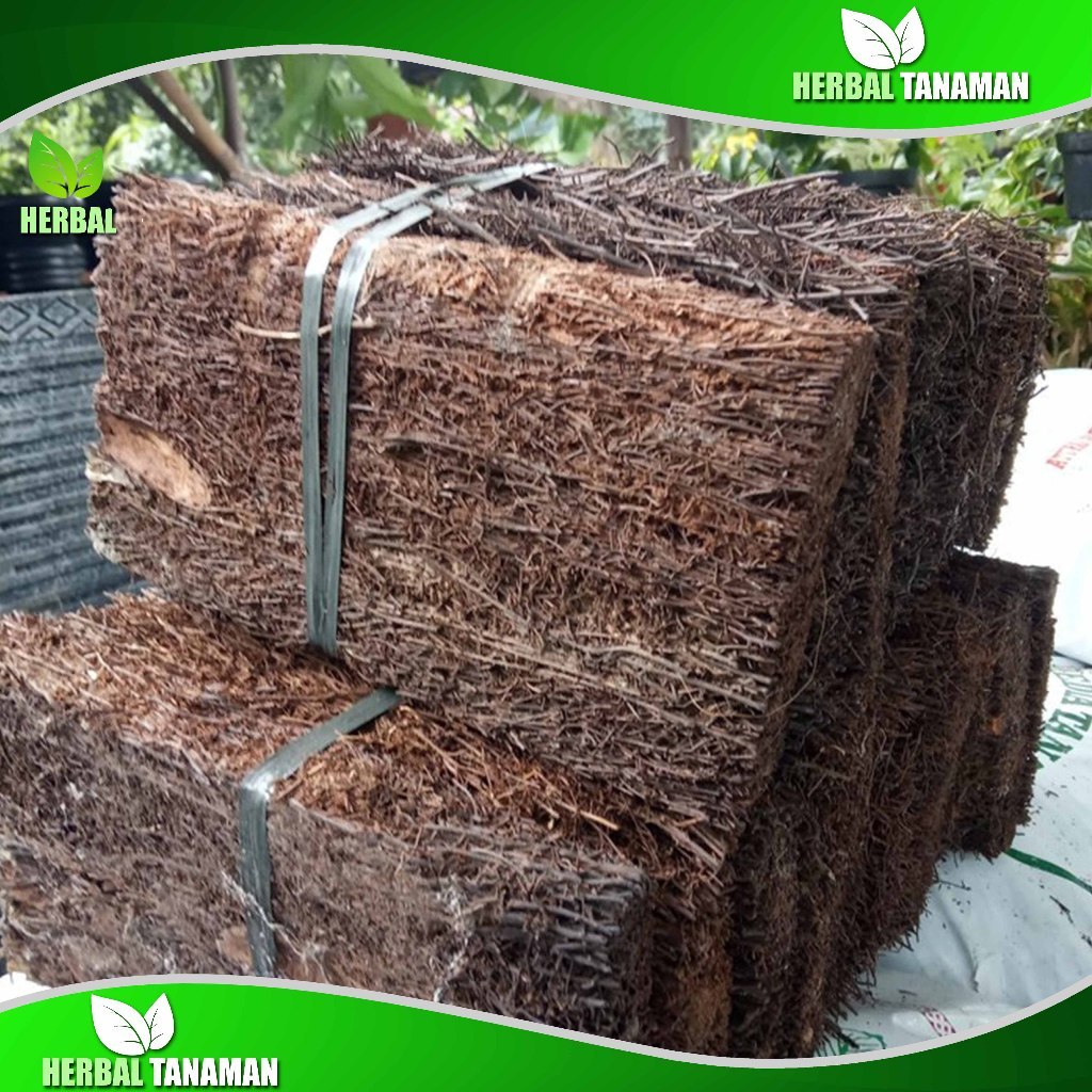 Papan Pakis Media Tanam Anggrek - Lempeng Pakis Media tanam