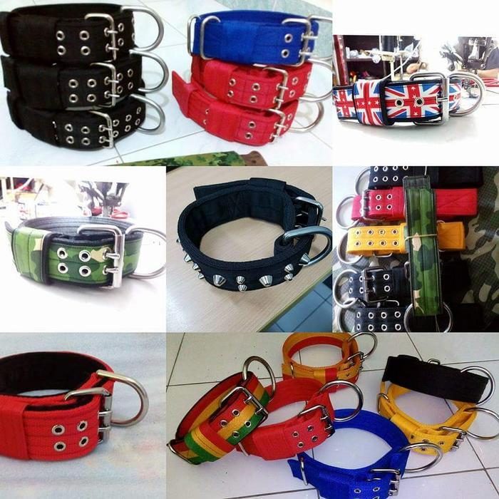 BEST KALUNG/COLLAR PITBULL/APBT/BULLDOG - Hitam