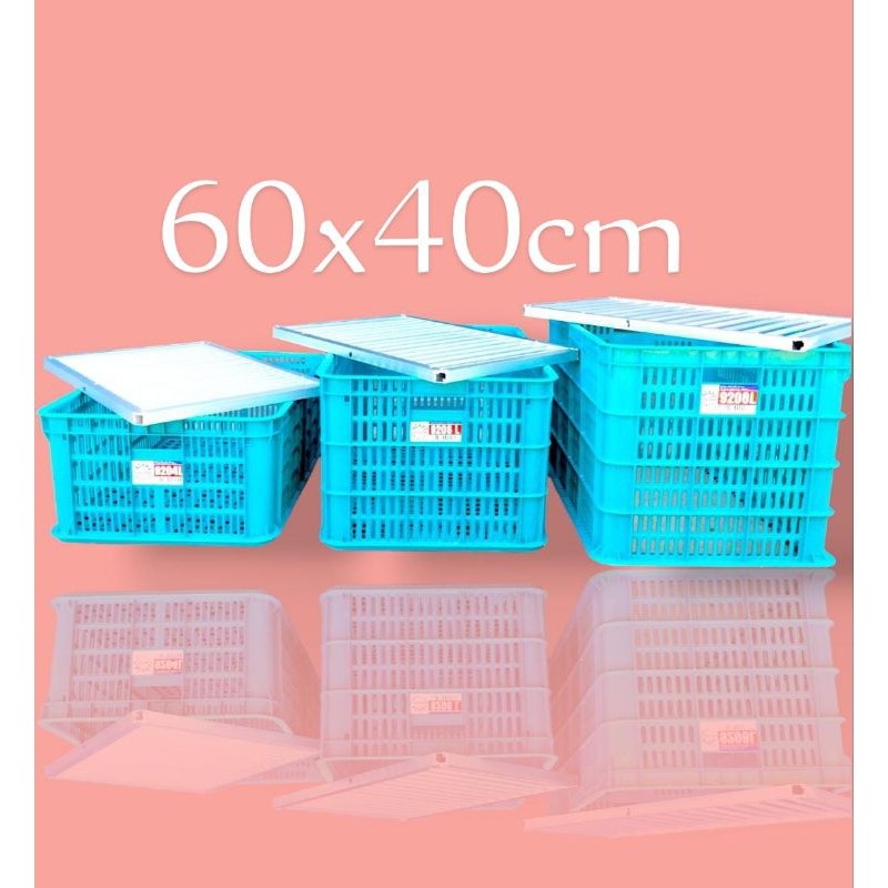 Bak Sortir Ikan Lele + Alat Sortir Aluminium / Keranjang Sortir Besar 60×40