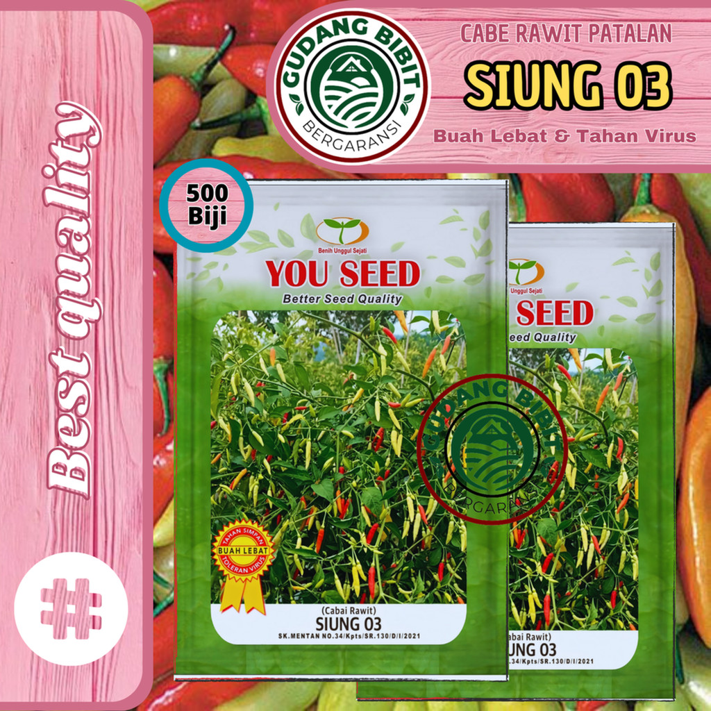 Benih Bibit Cabe Rawit Setan tipe Patalan SIUNG 03 500 Biji Cap You Seed