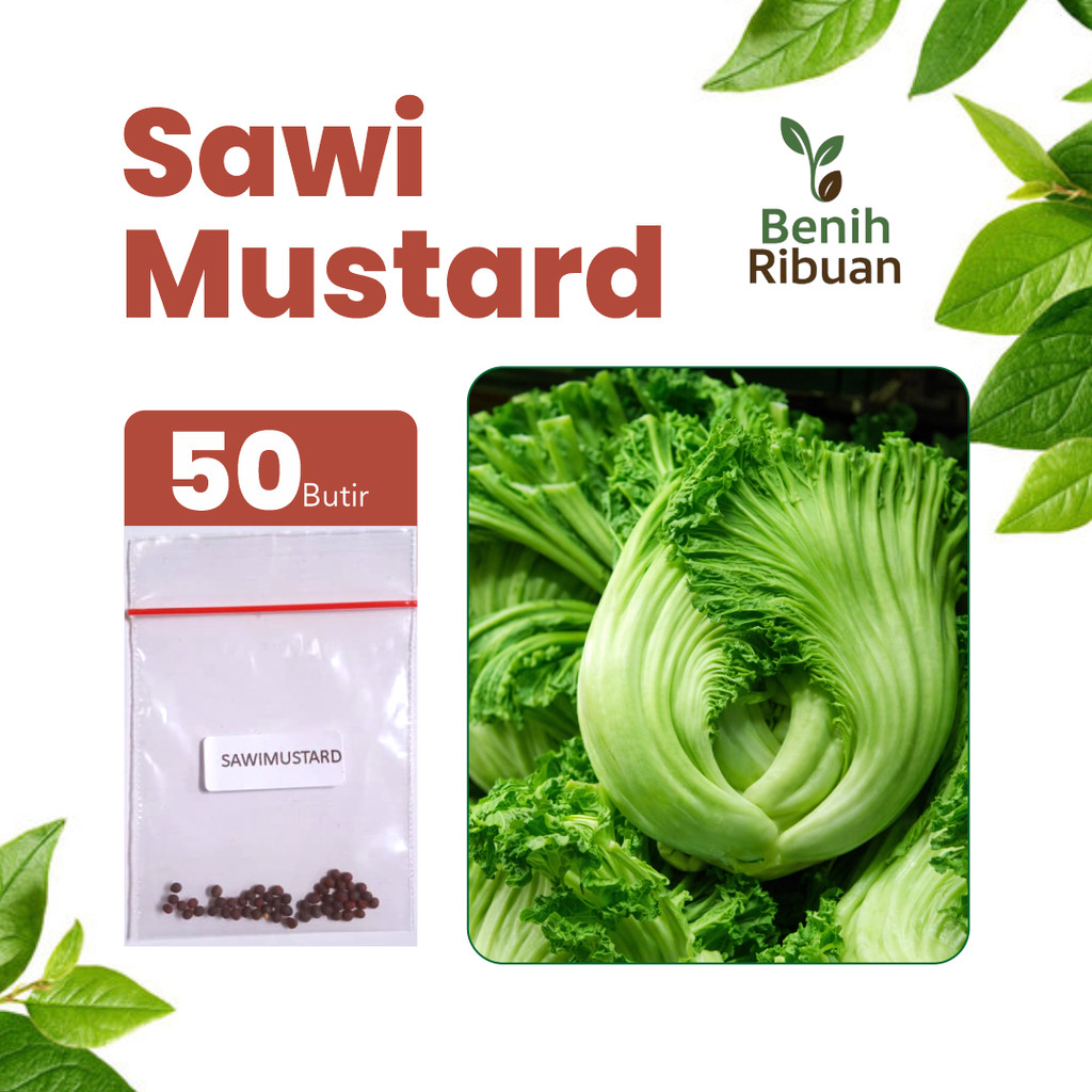 BENIH RIBUAN - Benih Sayur Sawi Mustard, Bibit Sayuran Sawi Mustard Unggul Bibit Sayuran Super