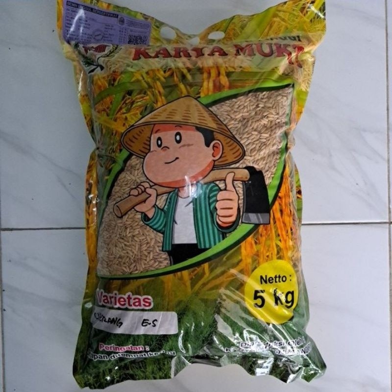 PLAOSANSTORE Benih Padi Ciherang 5 Kg
