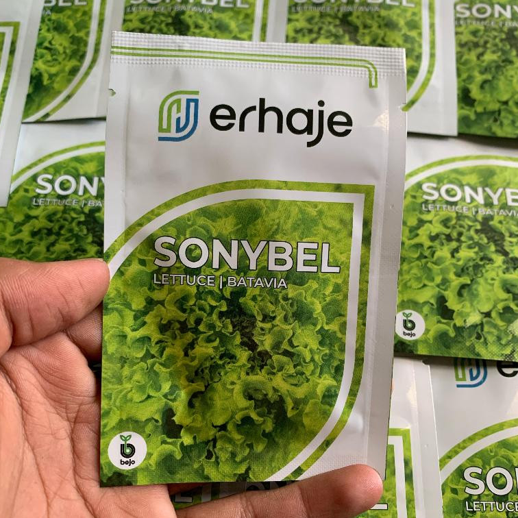 Benih selada batavia SONYBEL bejo seed