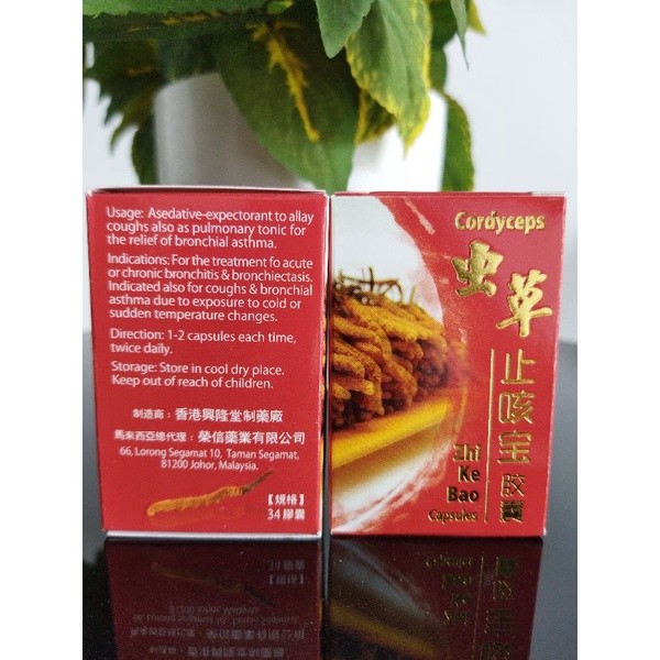 Obat Batuk Zhi Ke Bao(Chong cao zhi ke bao)Cordyceps zhi ke bao capsules