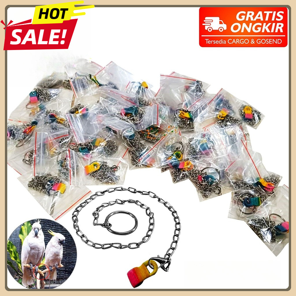 Rantai Borgol Burung Nuri Falk Parkit Parrot Hantu Rantai Kaki Burung Latih Training Burung Jinak Ra