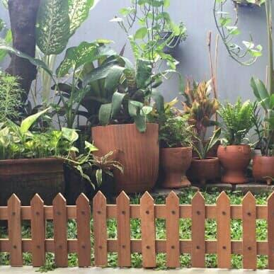 pagar tanaman 100%kayu ulin