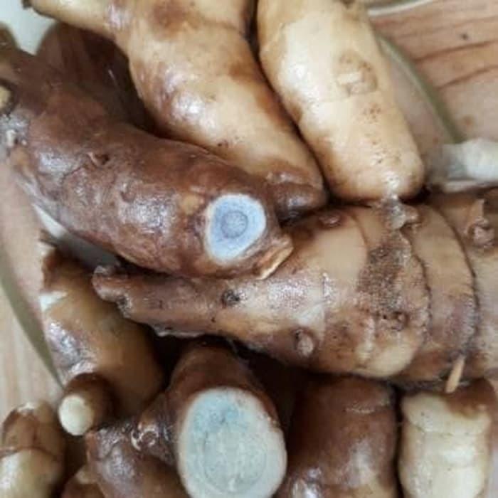 promo kunyit hitam segar/kunyit hitam 1kg/temu hitam 1 kg/temu raedy stok