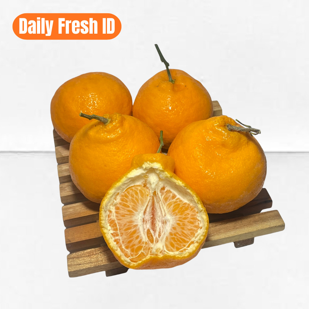 JERUK DEKOPON PAPAGAN CHUN JIAN SUMO MANDARIN