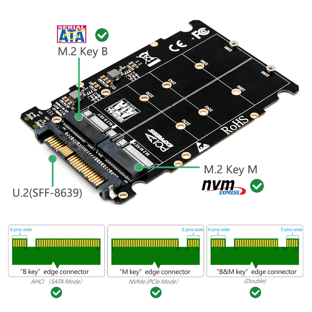 M2 SSD to U2 Adapter 2 in 1 M2 NVMe Key BM NGFF SSD to PCIe U2 SFF8639 Adapter PCIe M2 Converter Des