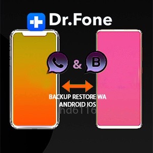 wa transfer software dr fone