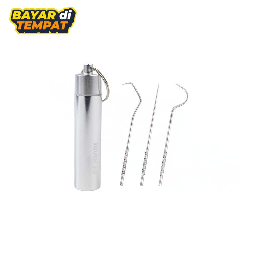 Dental Flossing Tool Set Stainless Steel TG323 Pembersih Karang Gigi
