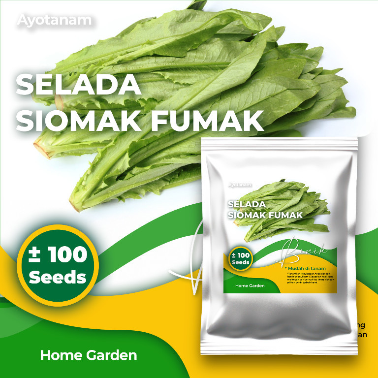 AYOTANAM Benih Selada Siomak Fumak ± 100 Benih