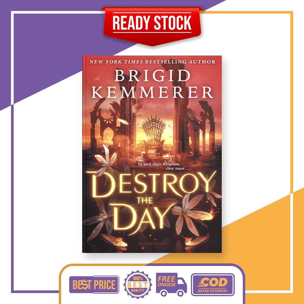 (English) Destroy the Day (Defy the Night, #3) by Brigid Kemmerer