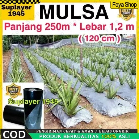 Plastik MULSA 1 ROLL hitam/perak ( Panjang 250 meter x Lebar 1,2 meter ) ROLL
