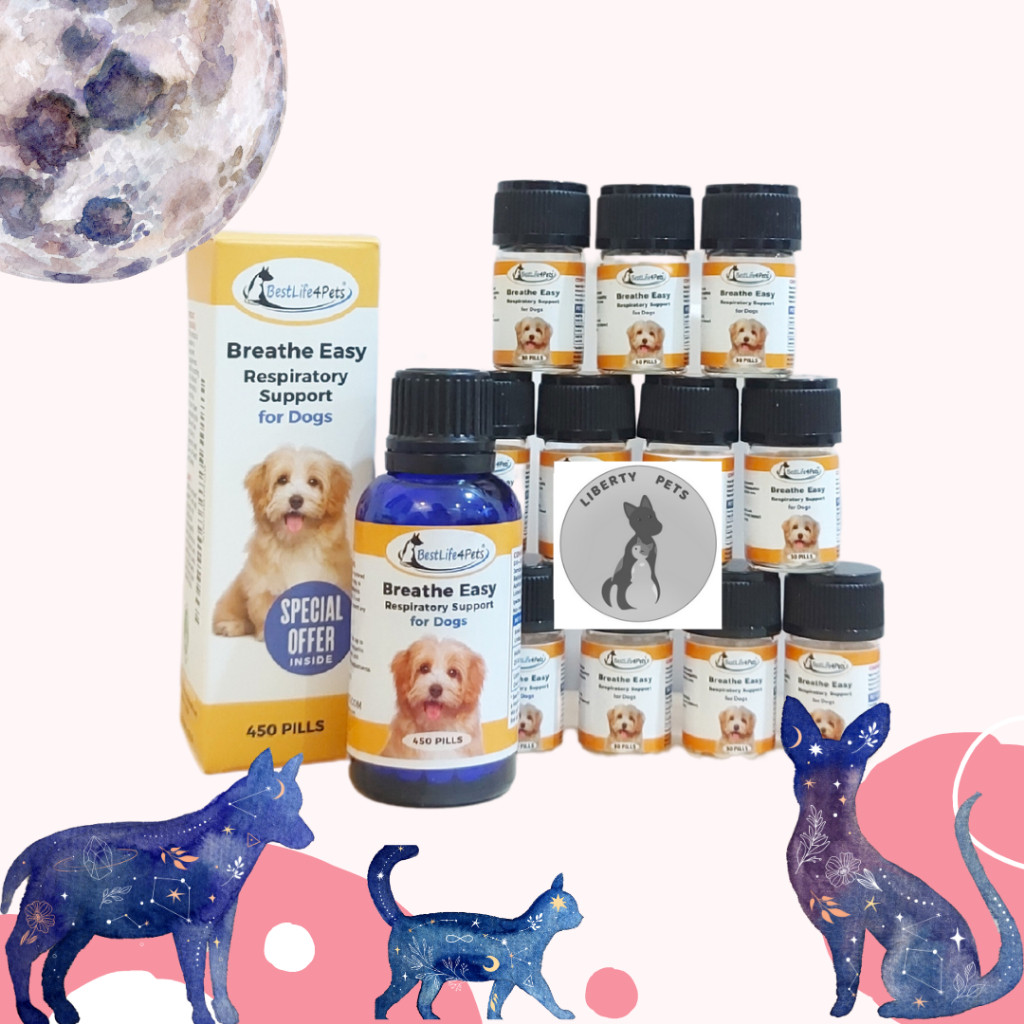 Best Life BestLife 4Pets Breathe Easy For Dog Untuk Masalah Pernapasan / Flu Pilek Pada Anjing