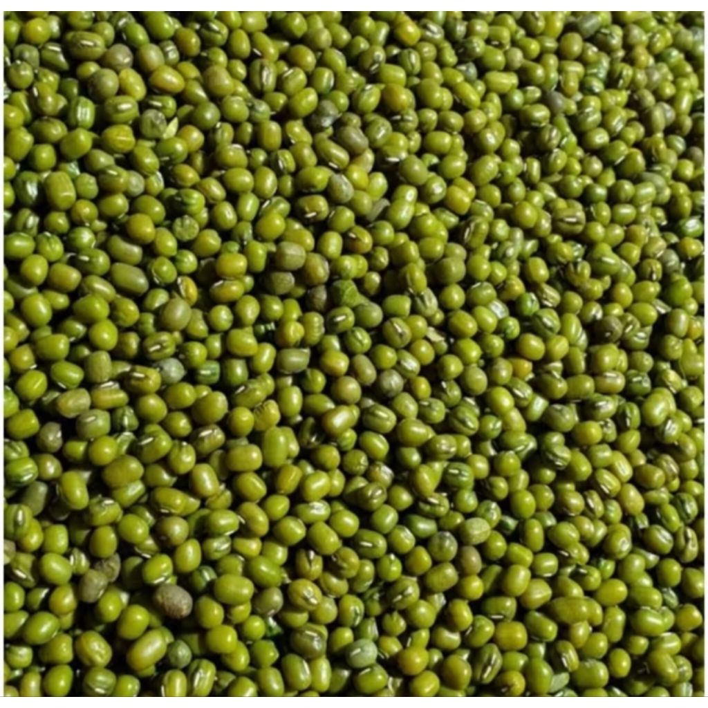 1 kg kacang ijo