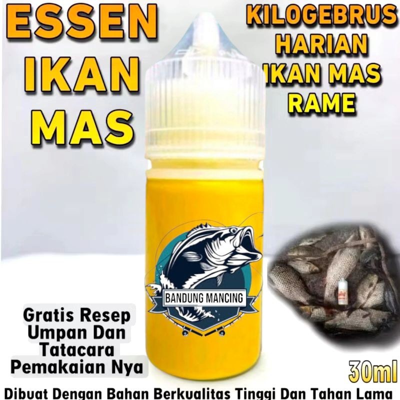 Bandung Mancing - Essen Khusus Ikan Mas Harian Lomba Totalan Paling Bagus Essen Khusus Ikan Mas Pali