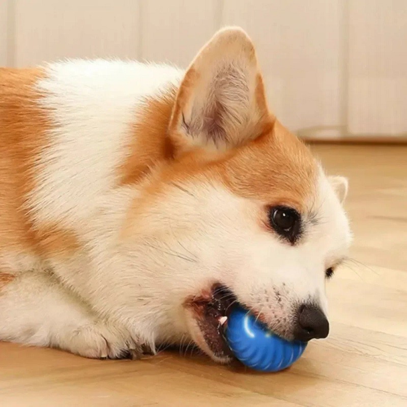Dog Toy Ball Automatic Moving Bouncing Rolling Ball USB Smart puppy Interactive Dog ew Toy Ball