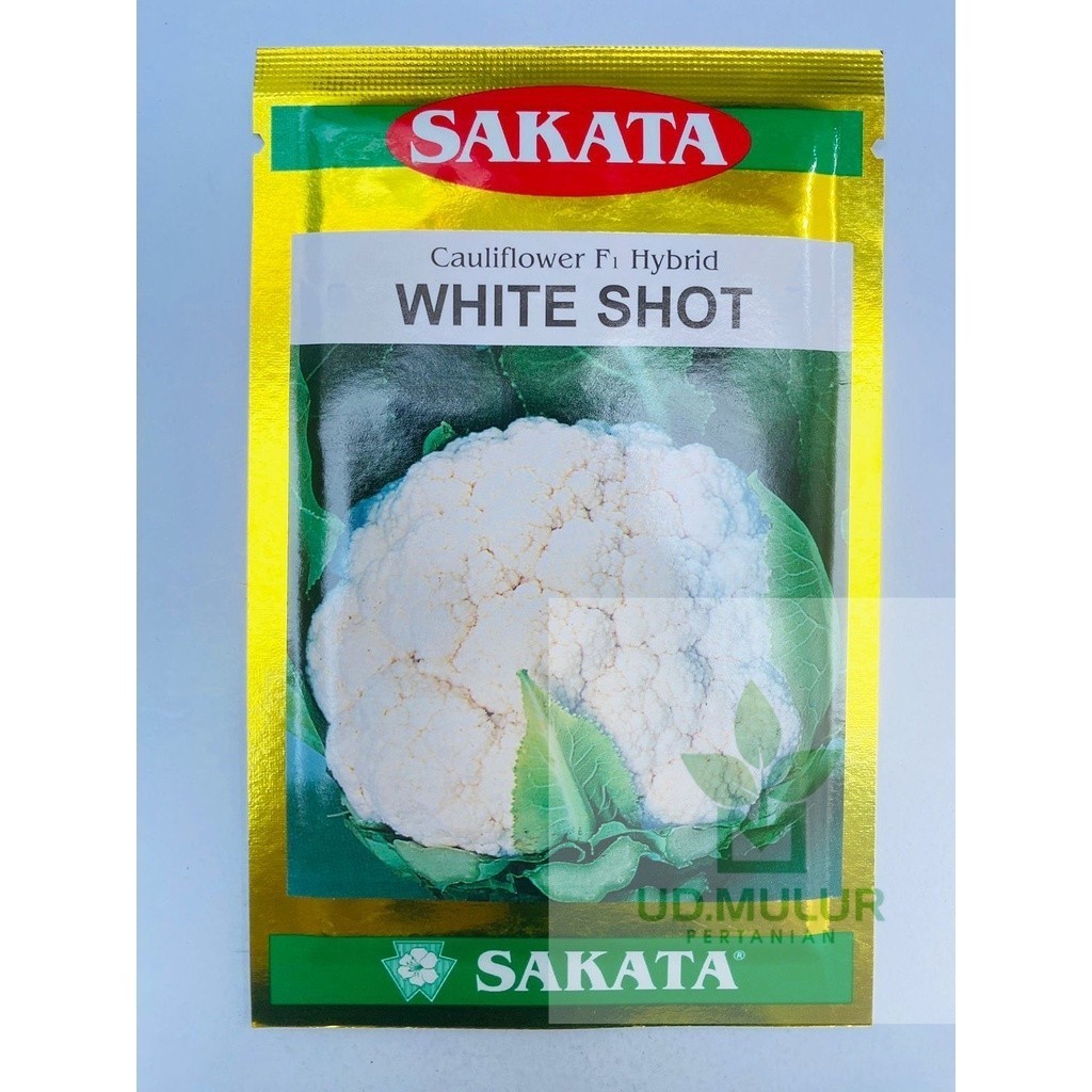 Benih Bunga Kol F1 Hybrid WHITE SHOT 10 gram Sakata