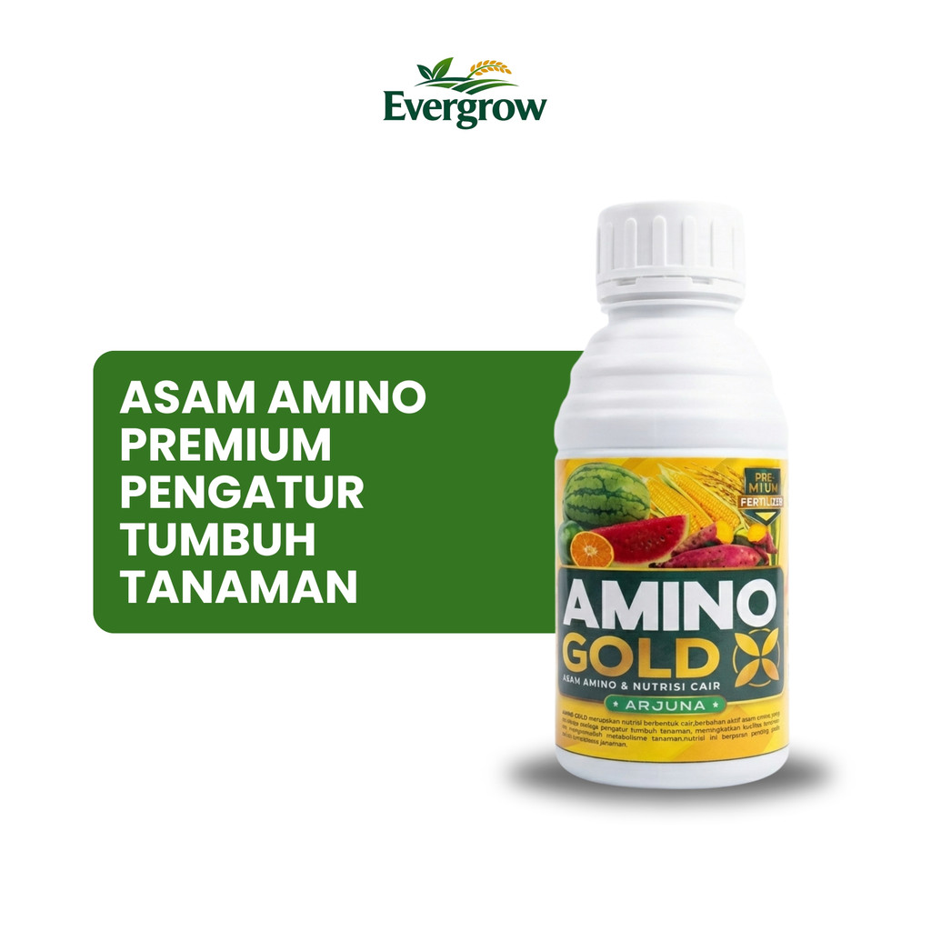 AMINO GOLD 500ml – Asam Amino Cair Premium Pengatur Tumbuh Tanaman
