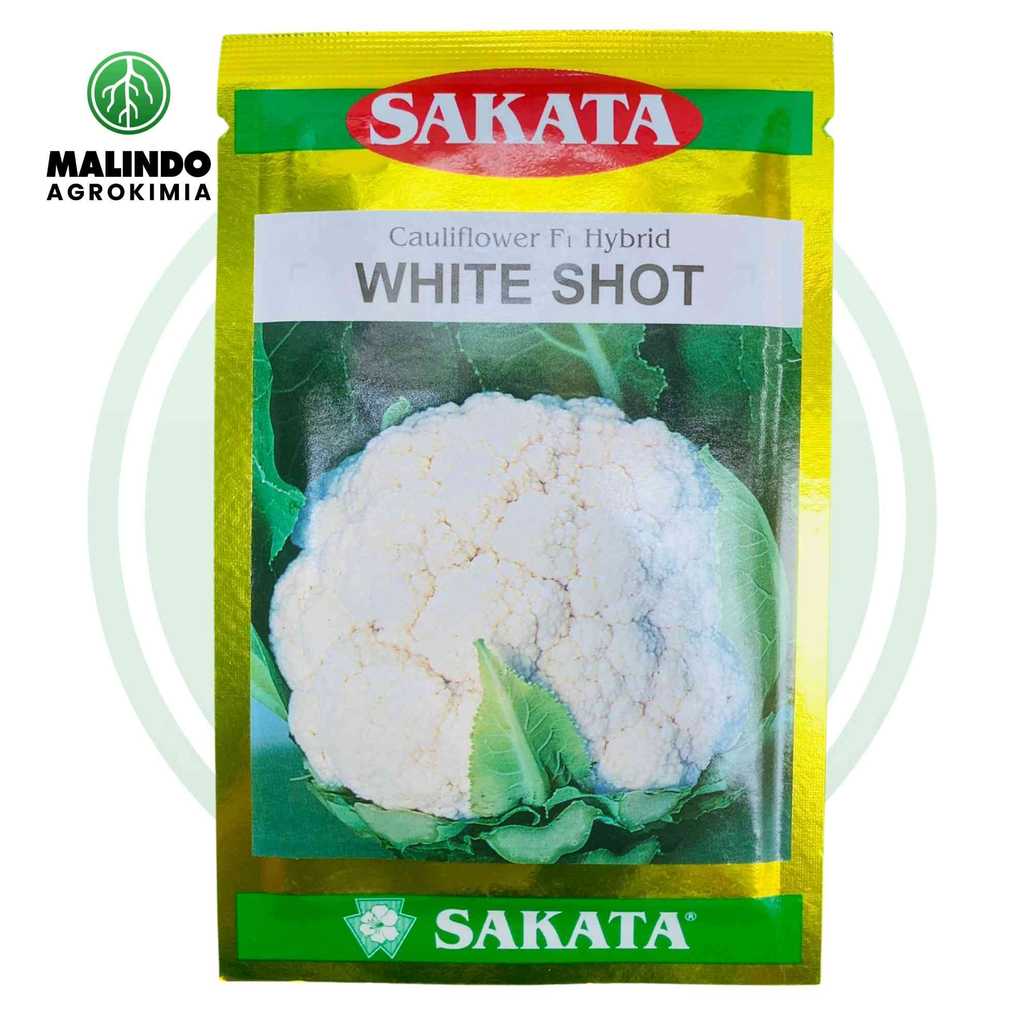 Benih Bunga Kol F1 Hybrid WHITE SHOT 10gram dari Sakata
