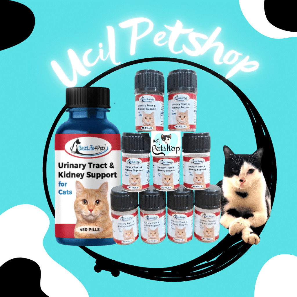 Best Life BestLife 4Pets Urinary Tract & Kidney Support for Cats (1 Tablet)