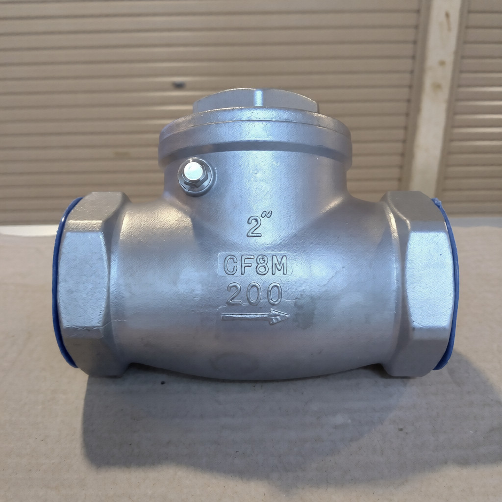 Check valve/swing check stainless 316 drat 2"