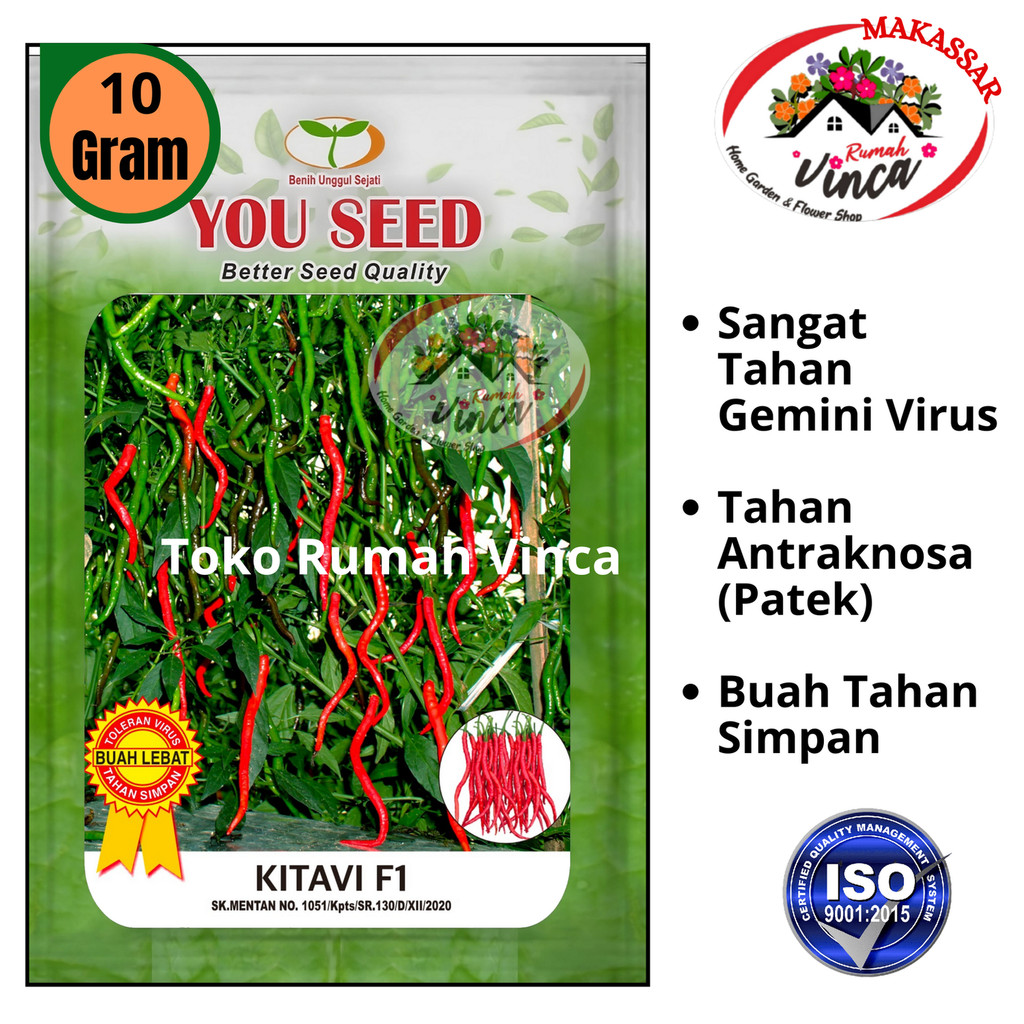 Bibit Benih Cabai Cabe Keriting Tahan Virus KITAVI F1 10g  Cap You seed CMK