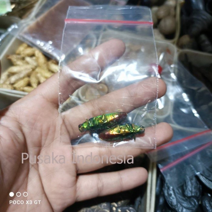 samber lilin untuk keperluan susuk asli susah buat yang palsu Gratis Ongkir PI778