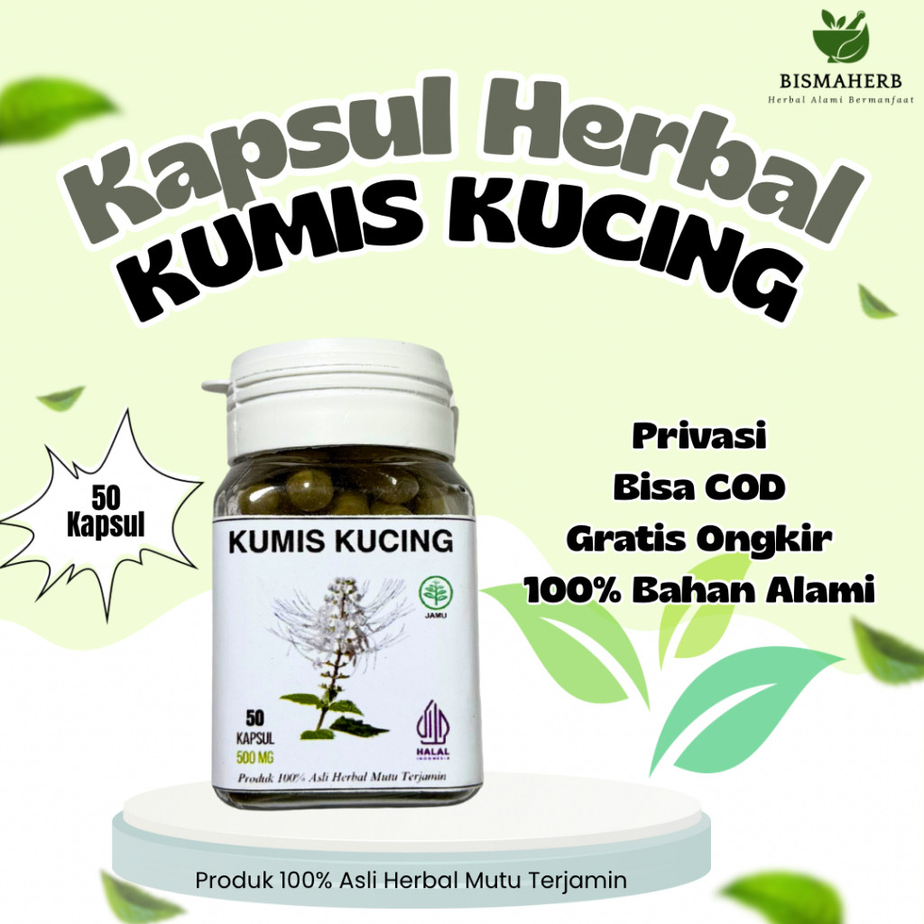 Kapsul Kumis Kucing Original Herbal Isi 50 ( ISK, Ginjal, Asam Urat )