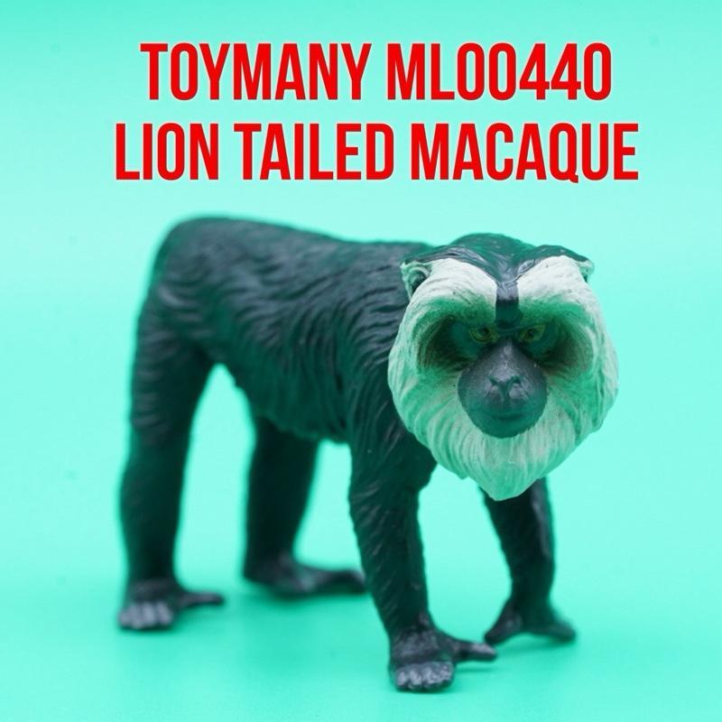 ToyMany ML00440 | Lion Tailed Macaque Monkey Monyet Ekor Singa Beruk Kera Macaca Silenus | Mainan Fi