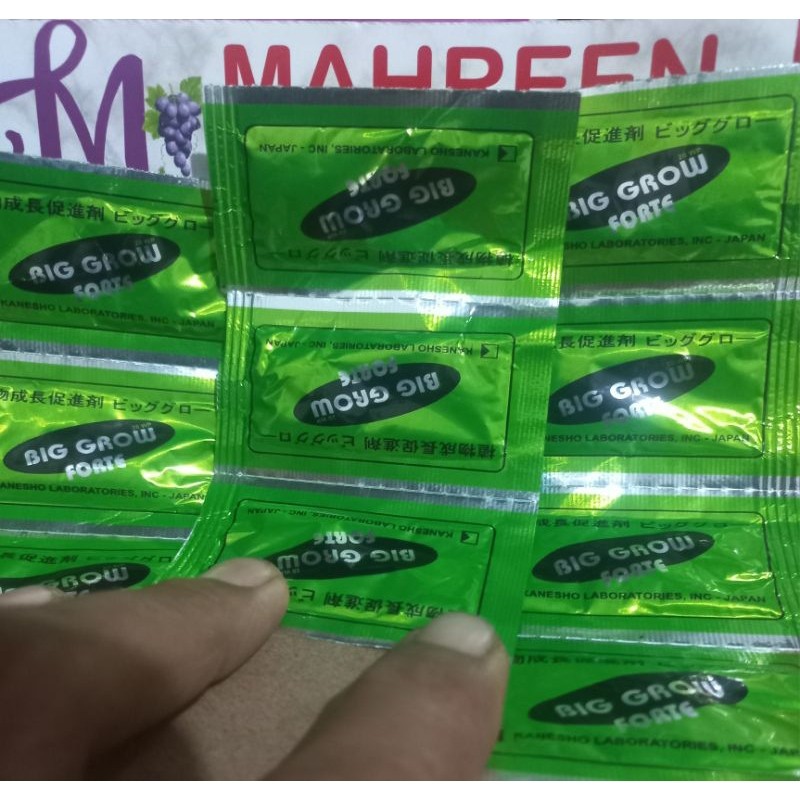 Pupuk ZPT Big Grow Forte GA3 1Gram Hormon Pertumbuhan