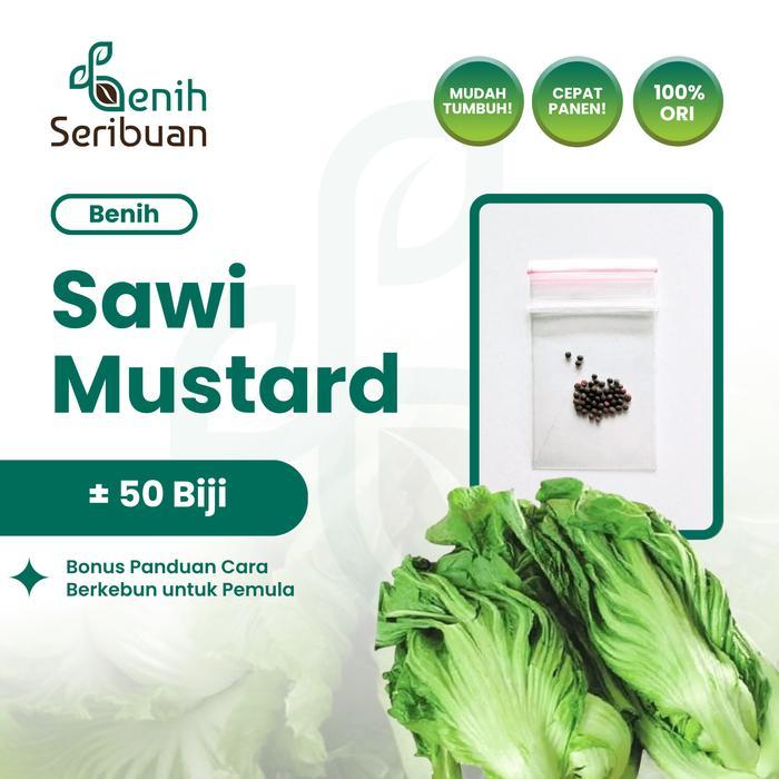 50 Benih Sawi Mustard Head Lettuce Known You Seed Bibit Sayur Unggul - SAWI MUSTARD