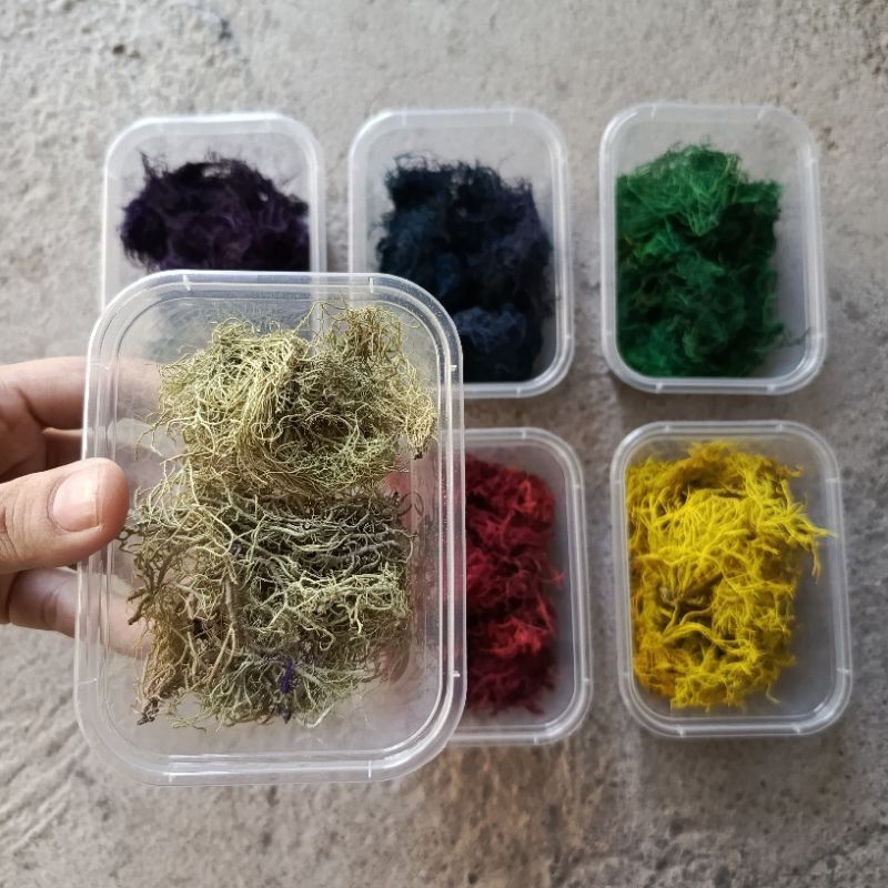 moss akar angin kayu angin akar wangi bahan kerajinan