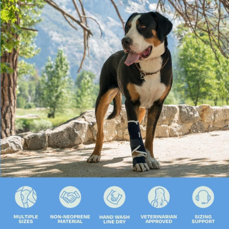 12pc Dog Front Leg Splint Carpal Hyperextension Dog Brace Supports Fractures and Spra Front Leg Supp
