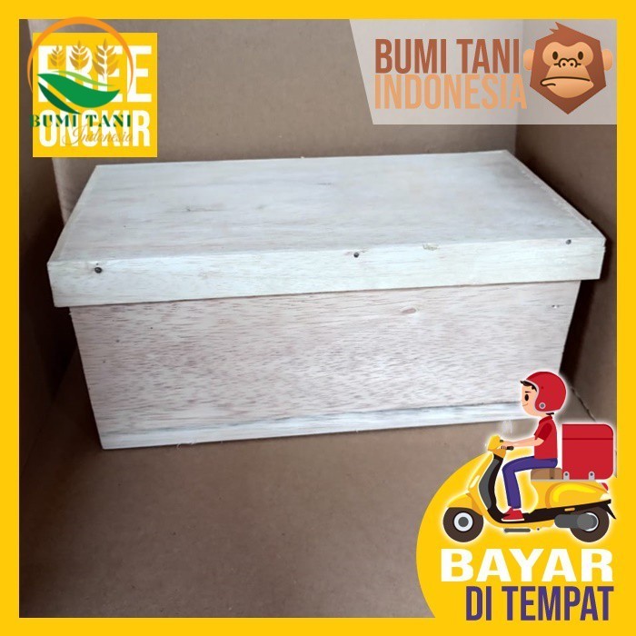 Kotak Lebah Madu Sarang Trigona Klanceng - Stuff Sarang Lebah