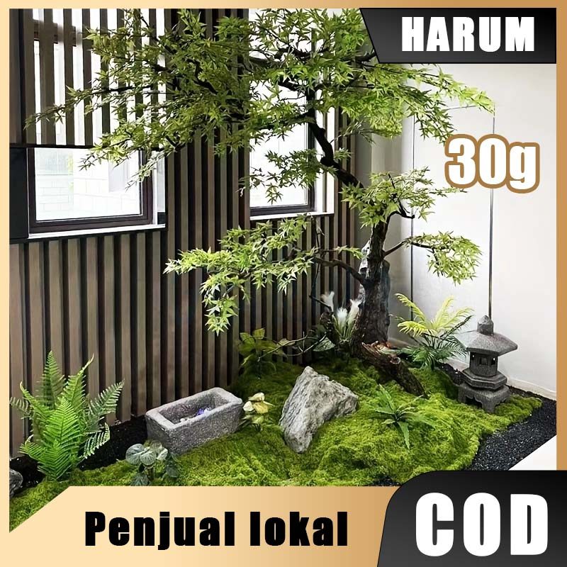 30g Artificial Moss Moss Sintetis Moss Artificial Sintetis Premium Murah Lumut Abadi Dekorasi Mossek